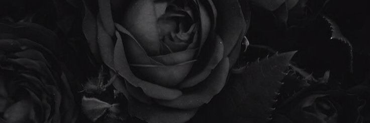 sk_7830's profile banner image