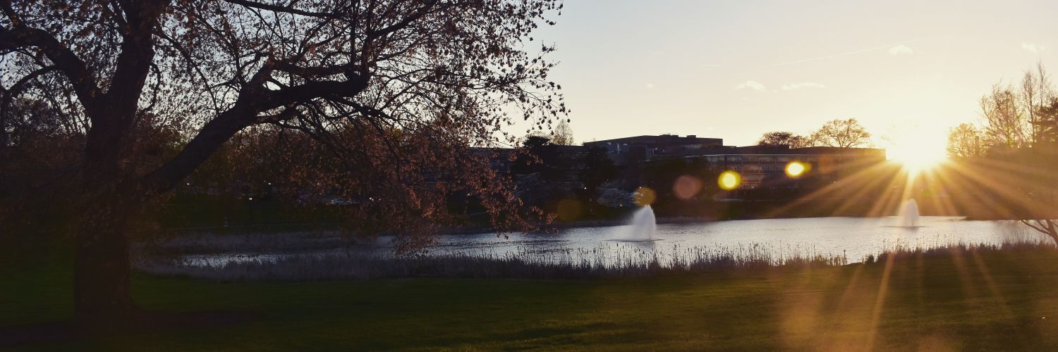 hlinaRock's profile banner image