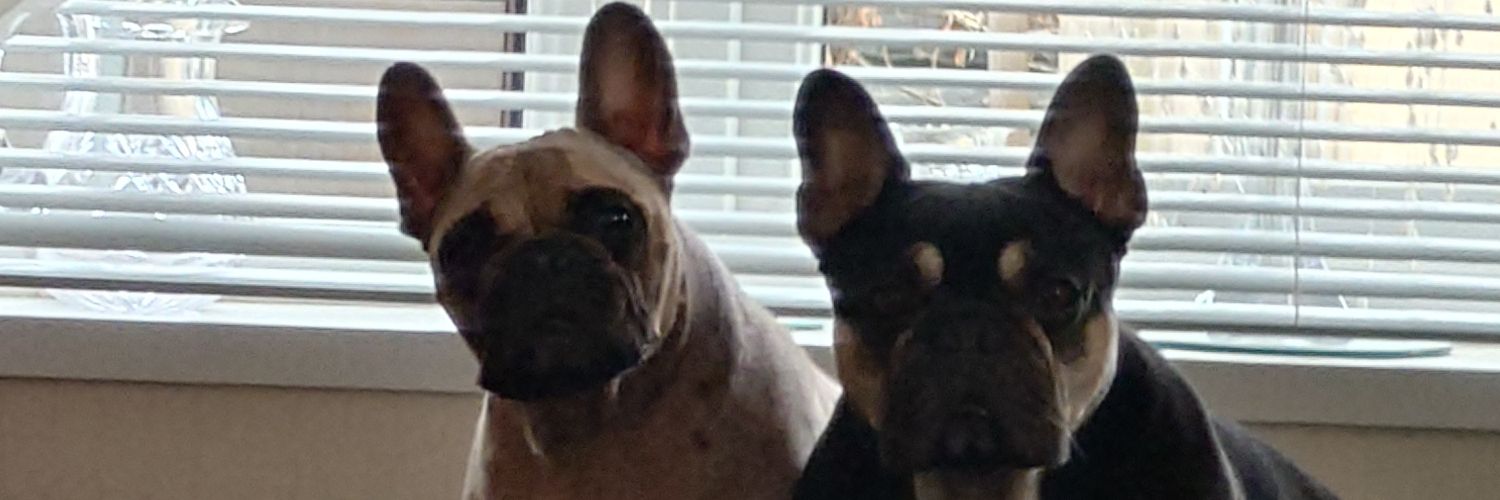 leebunker1's profile banner image
