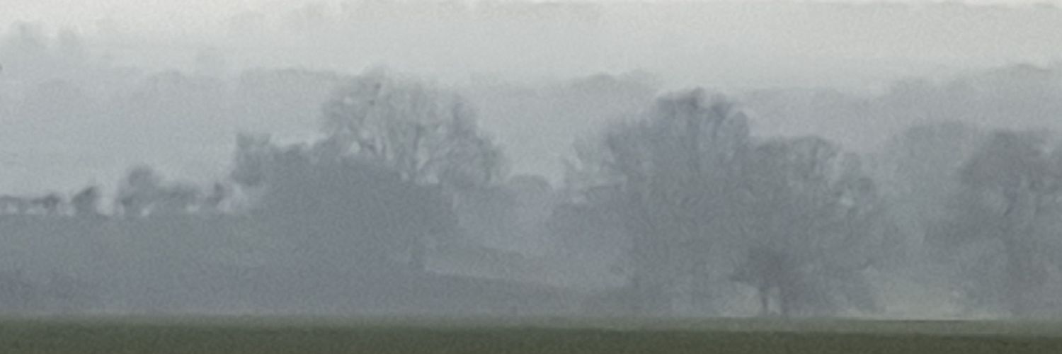 mik lambert banner