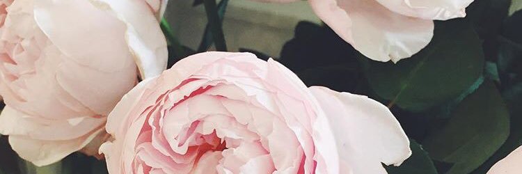 Andrea_096's profile banner image