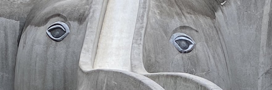 i_atavis's profile banner image