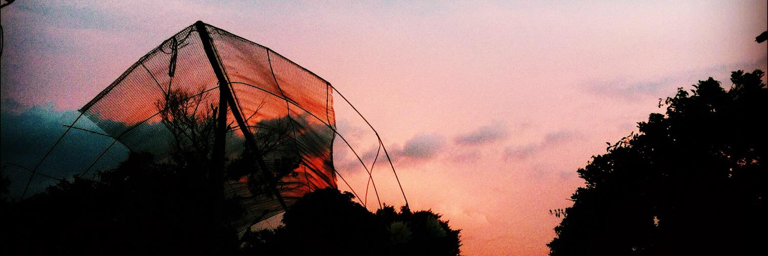 NOVALbtl's profile banner image