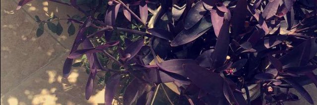 em___1400's profile banner image