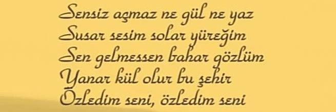 CihanSivasli's profile banner image
