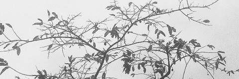 vidwrng's profile banner image