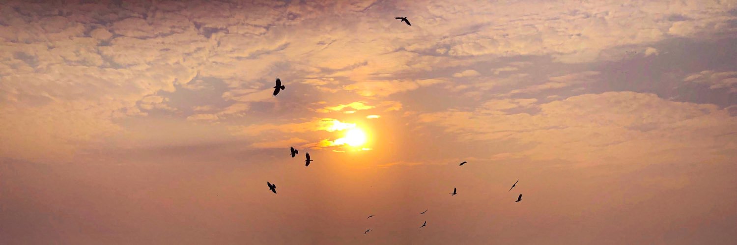 ajay_sinh_'s profile banner image