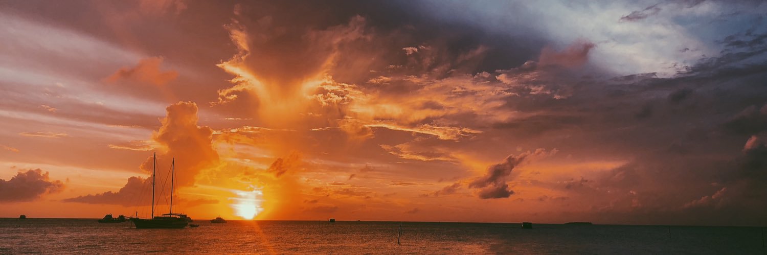tanyajoseph__'s profile banner image