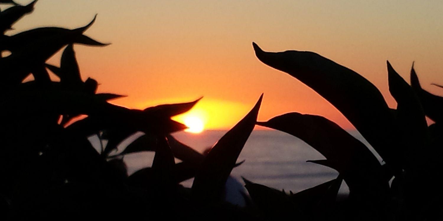 EVGvicario's profile banner image