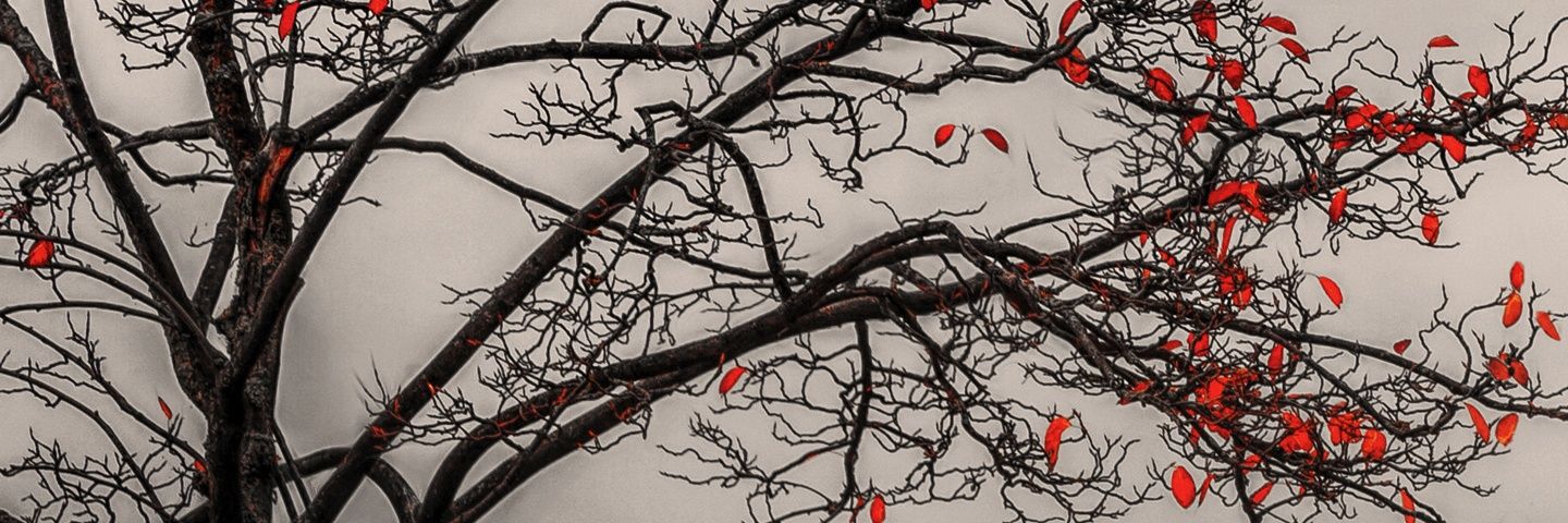 AMAL_14O8's profile banner image