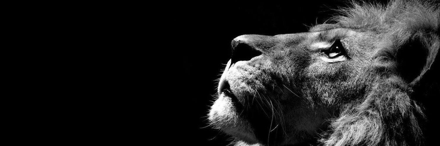 anthonyperttt's profile banner image