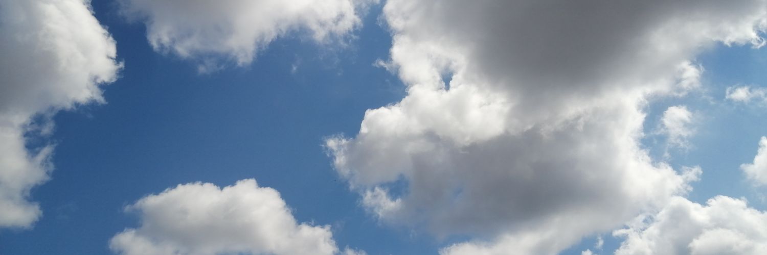 SaaraRooj's profile banner image