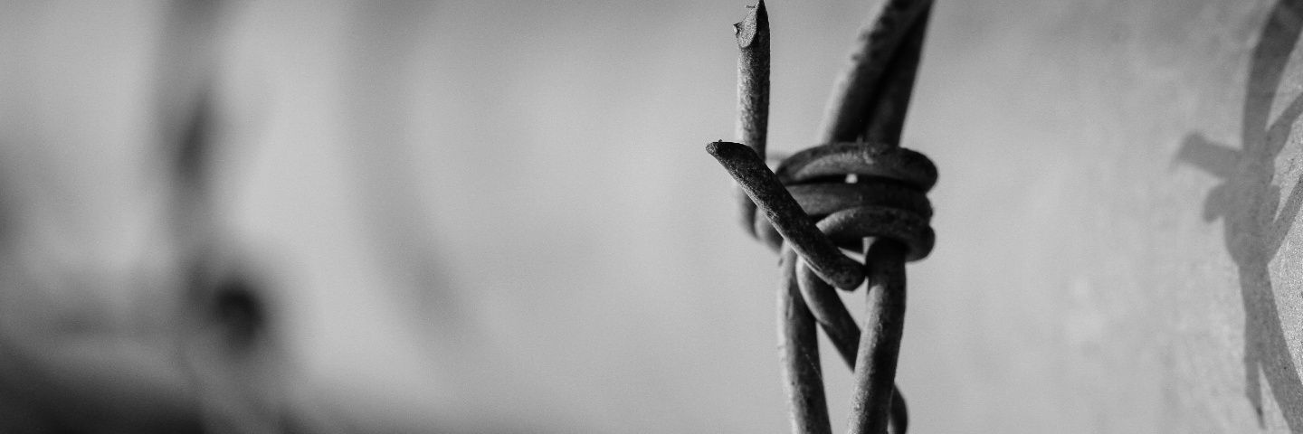 Observatori del Sistema Penal i els Drets Humans banner