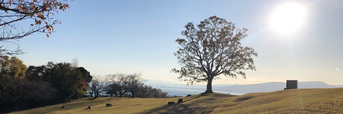 WhyMari0125's profile banner image