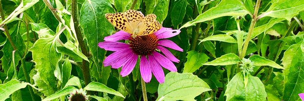 JessicaBudgett Profile Banner