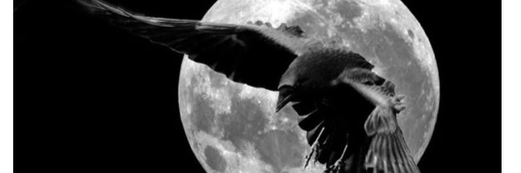 Dempsley_G's profile banner image