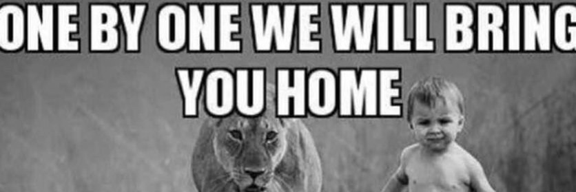 Rose Anita Renner banner