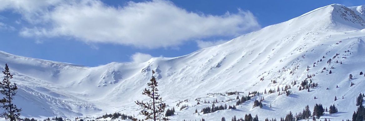 Nick Panuce banner