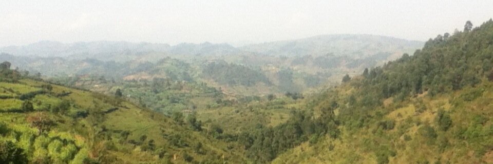 WambuiCM's profile banner image