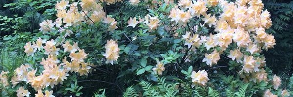 jeisermann Profile Banner