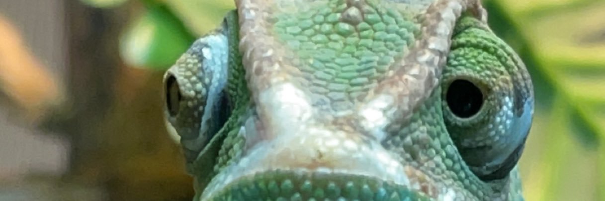 SmoothStrok3s's profile banner image
