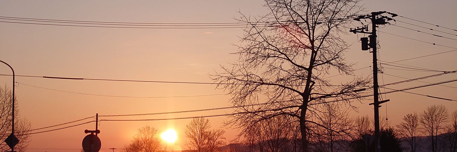 tonmisann's profile banner image