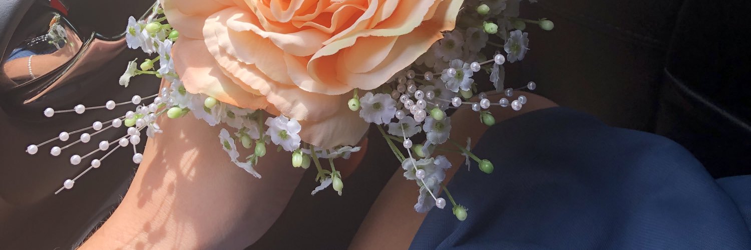 brystalhardiman's profile banner image