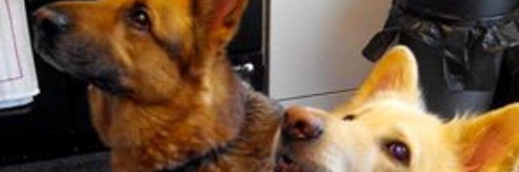 Bevaldy's profile banner image