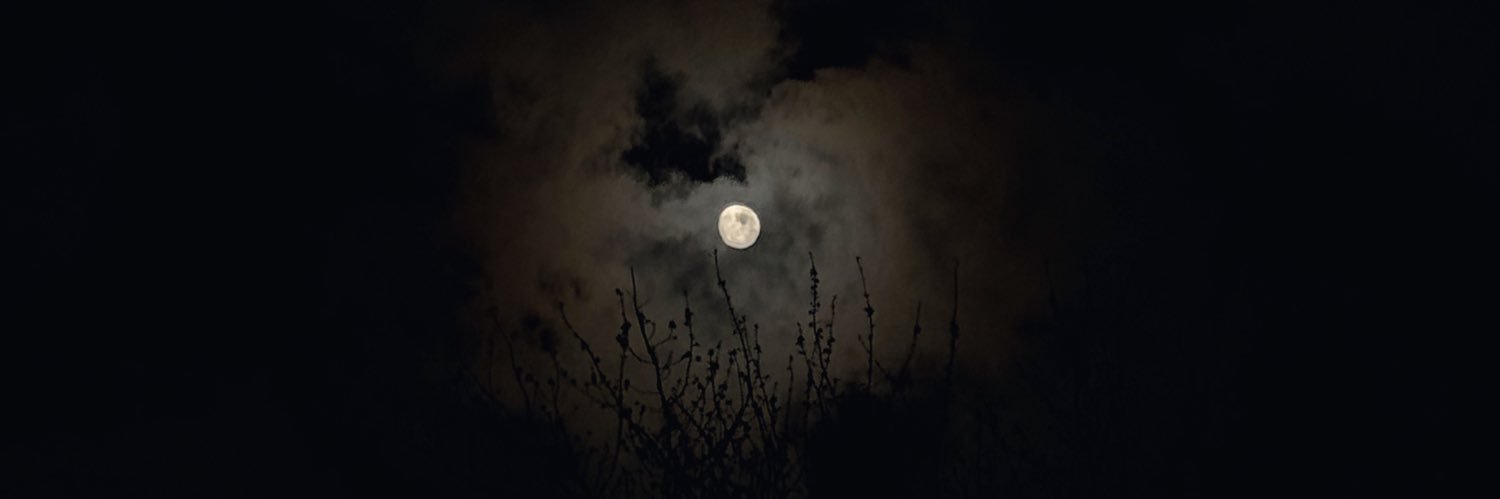 outcast__c's profile banner image