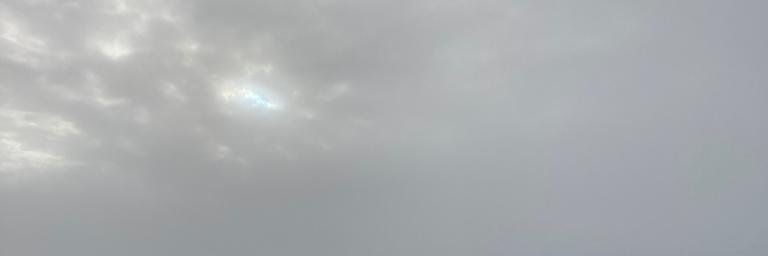 eule banner