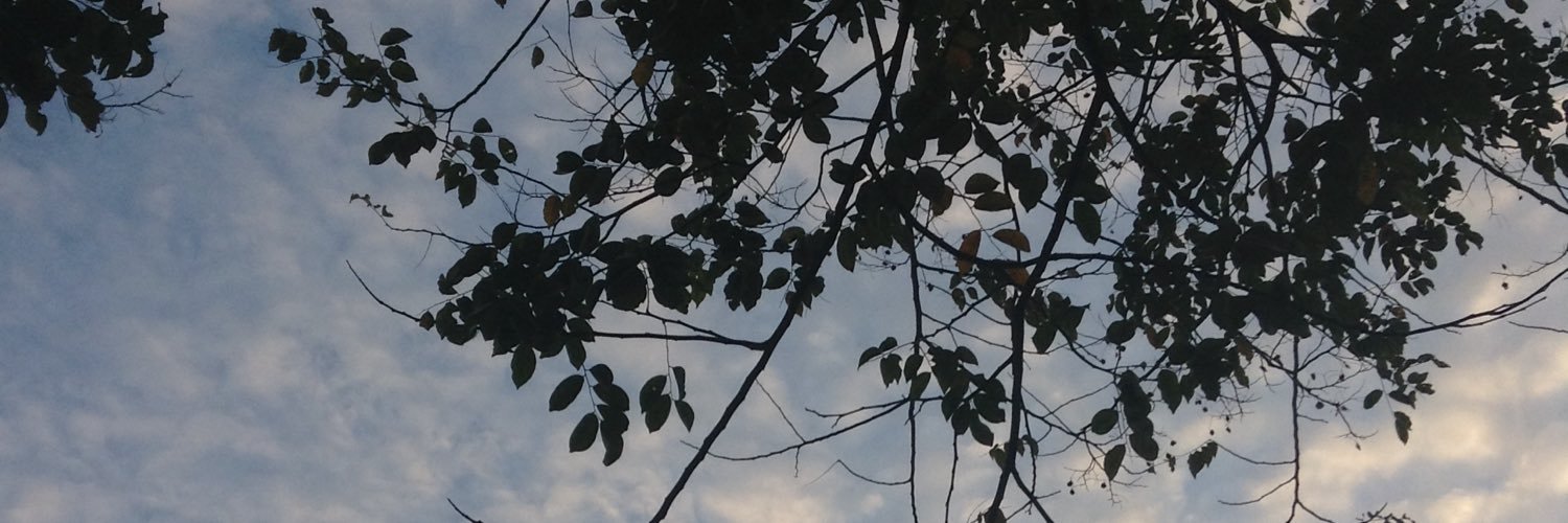 ennahbu's profile banner image
