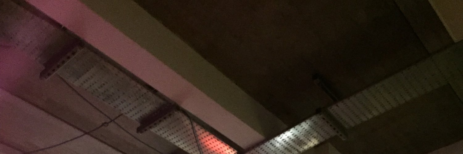 deloeri's profile banner image