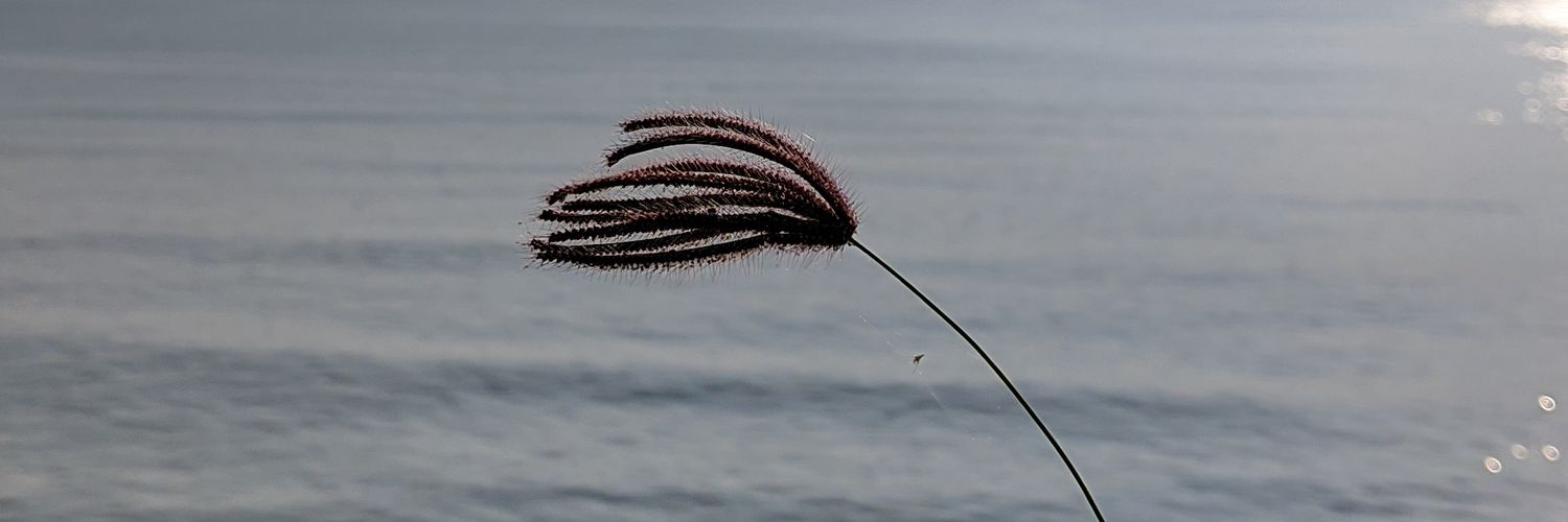 h_dp29's profile banner image