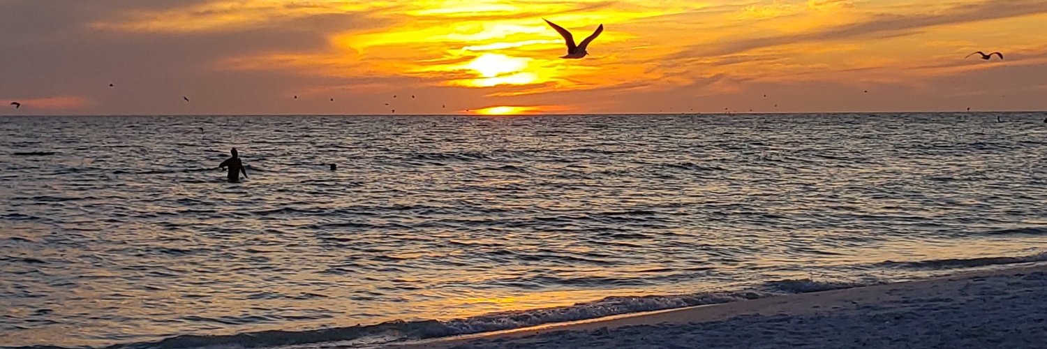 StacyShamberger's profile banner image