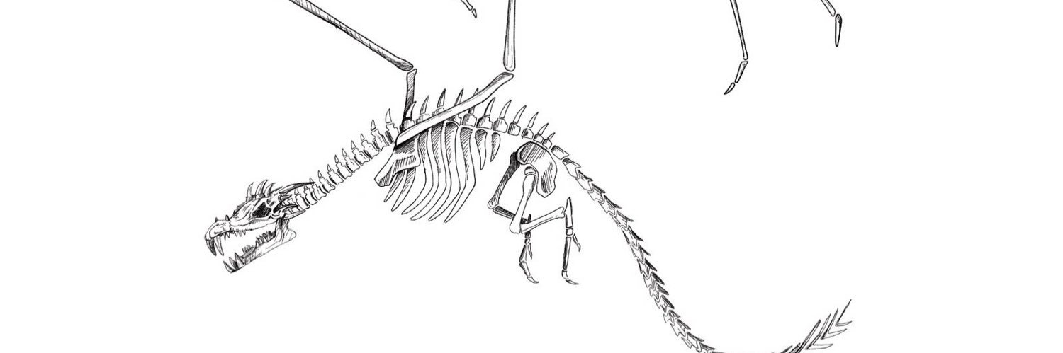 daniel alvarez banner