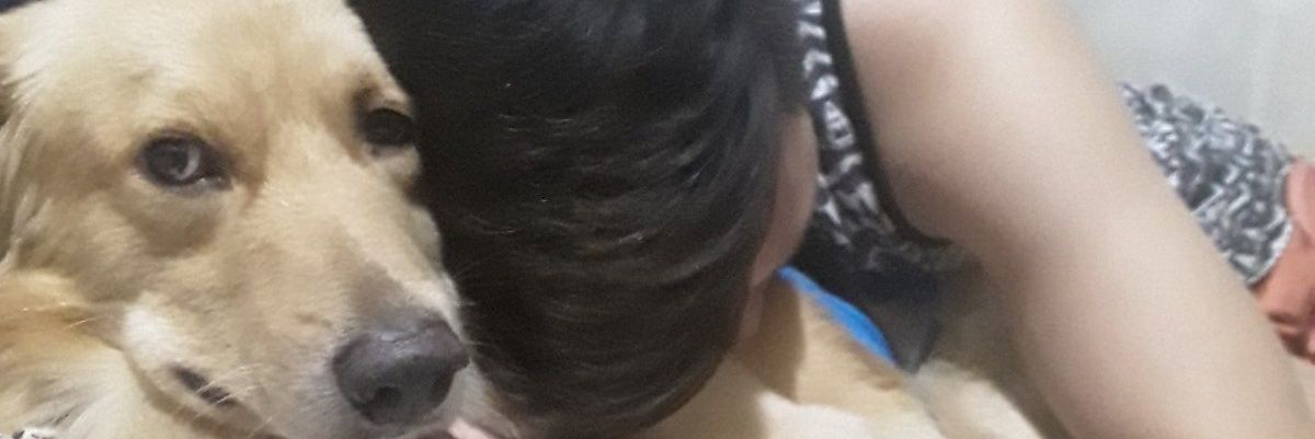 Caloooyy's profile banner image