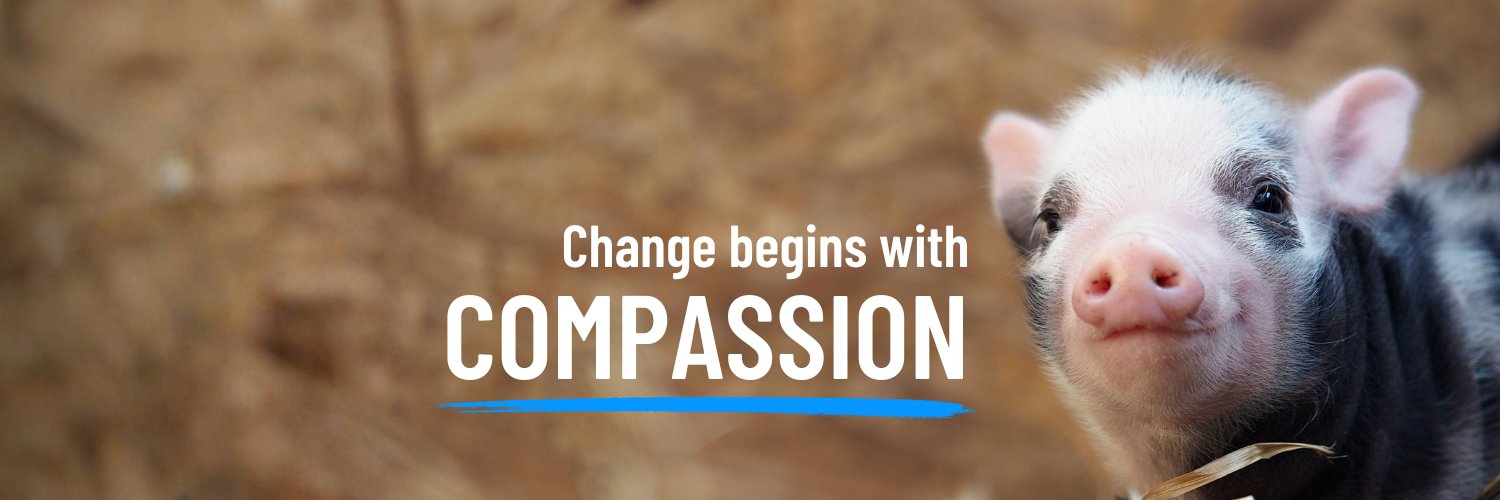 Animal Equality banner