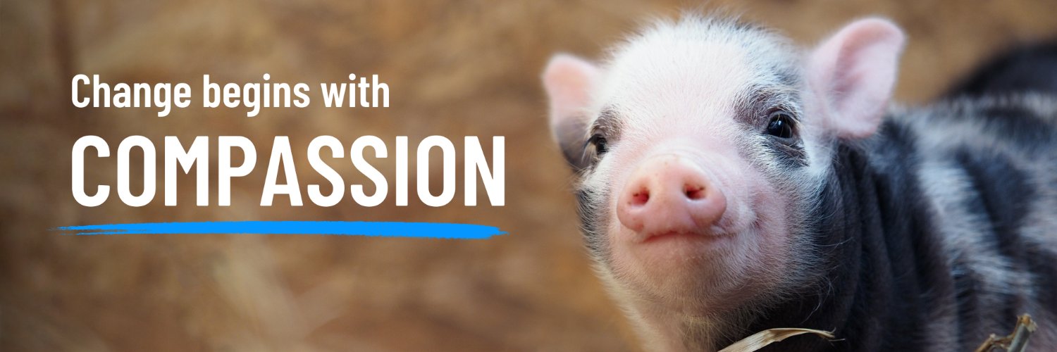 AnimalEquality's profile banner image