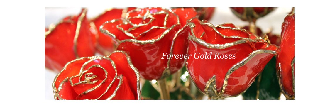 AnnsHoustonTx's profile banner image