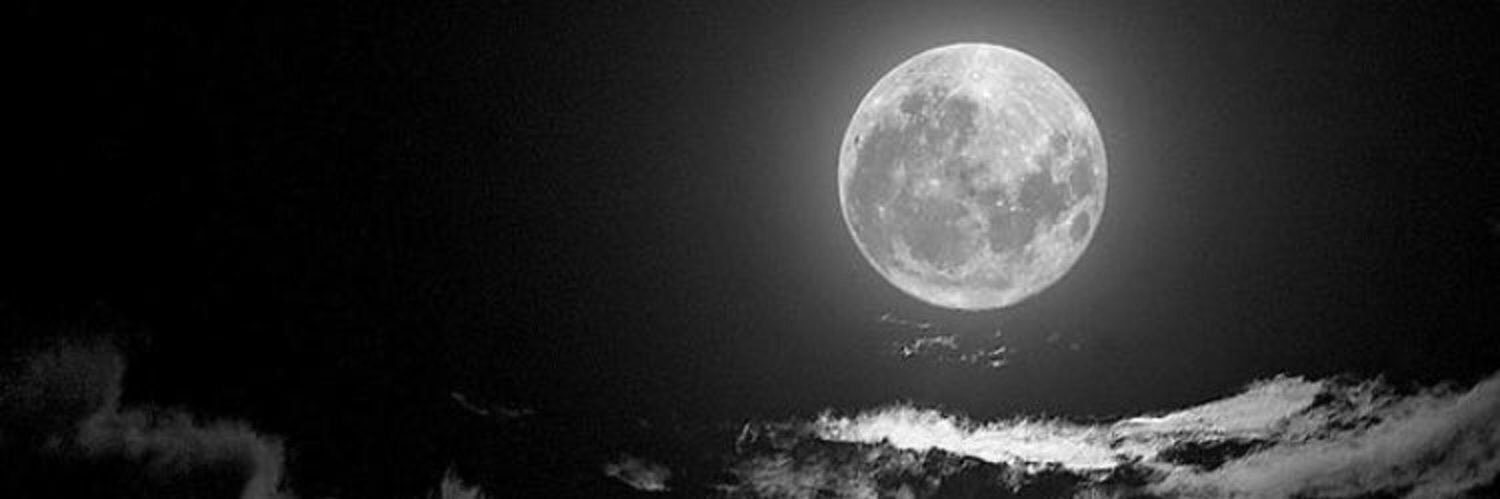 Falml3be3's profile banner image