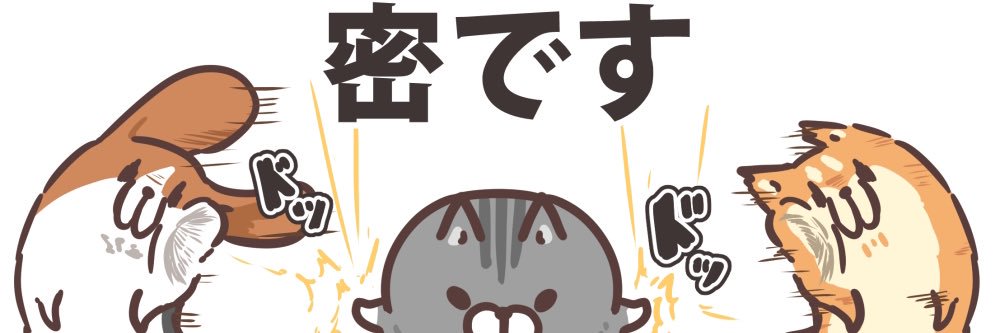 sasaking's profile banner image