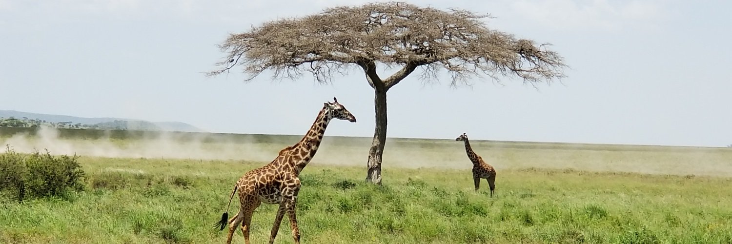 Keith Monrose banner