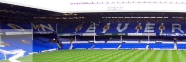 joey banner