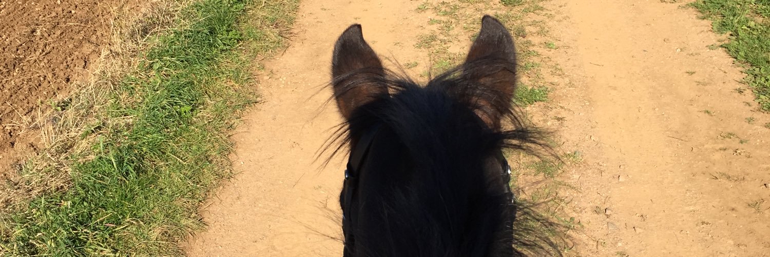 MillyHorsfall's profile banner image