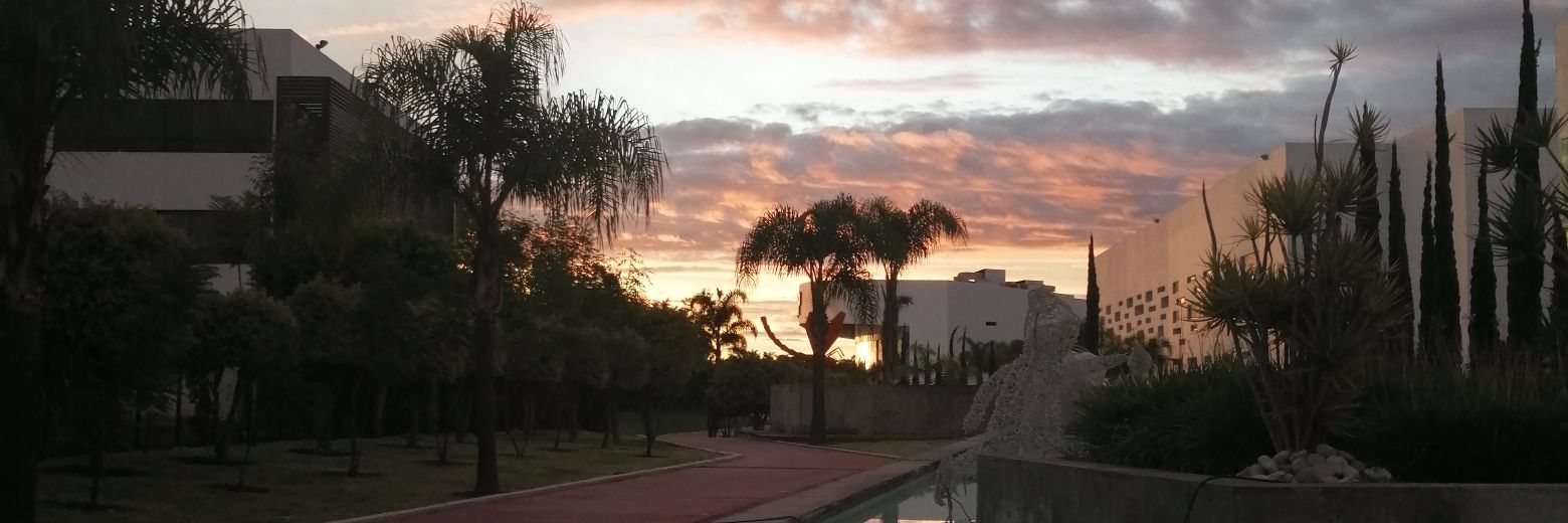 Quezaadaa's profile banner image