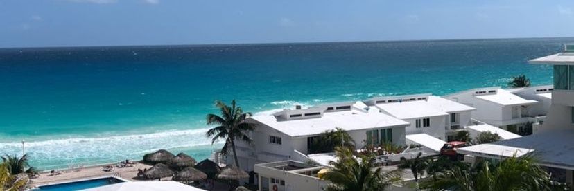 Solcito _Carp banner