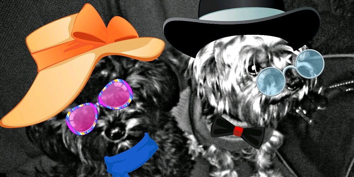 PatriRees's profile banner image