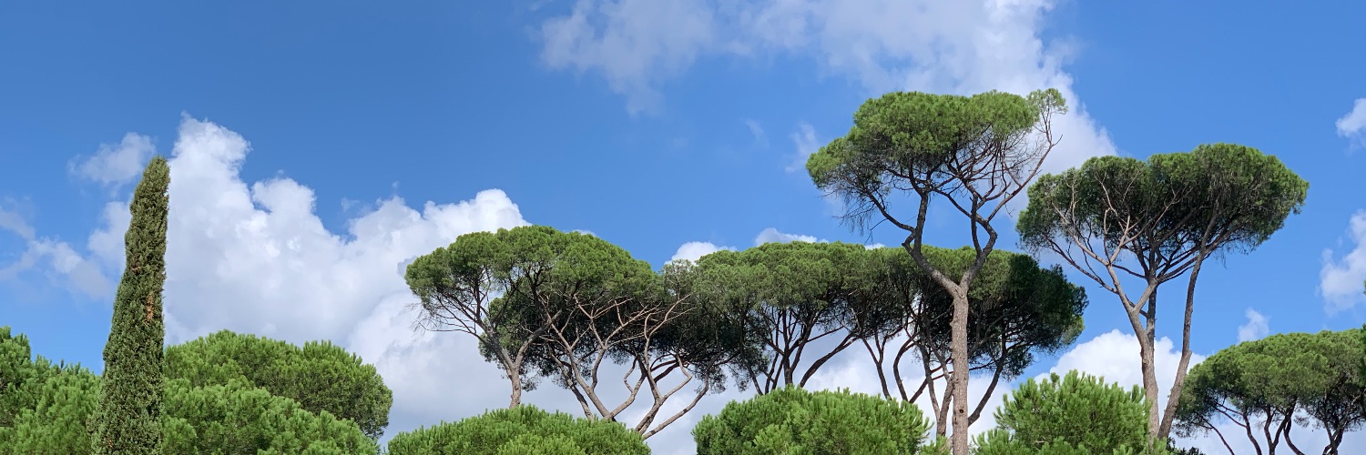 Benoit Guilbert banner