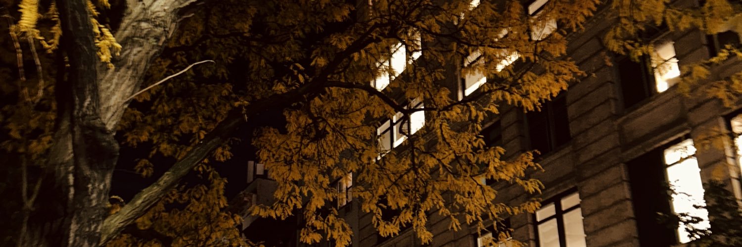 caelynemoore's profile banner image