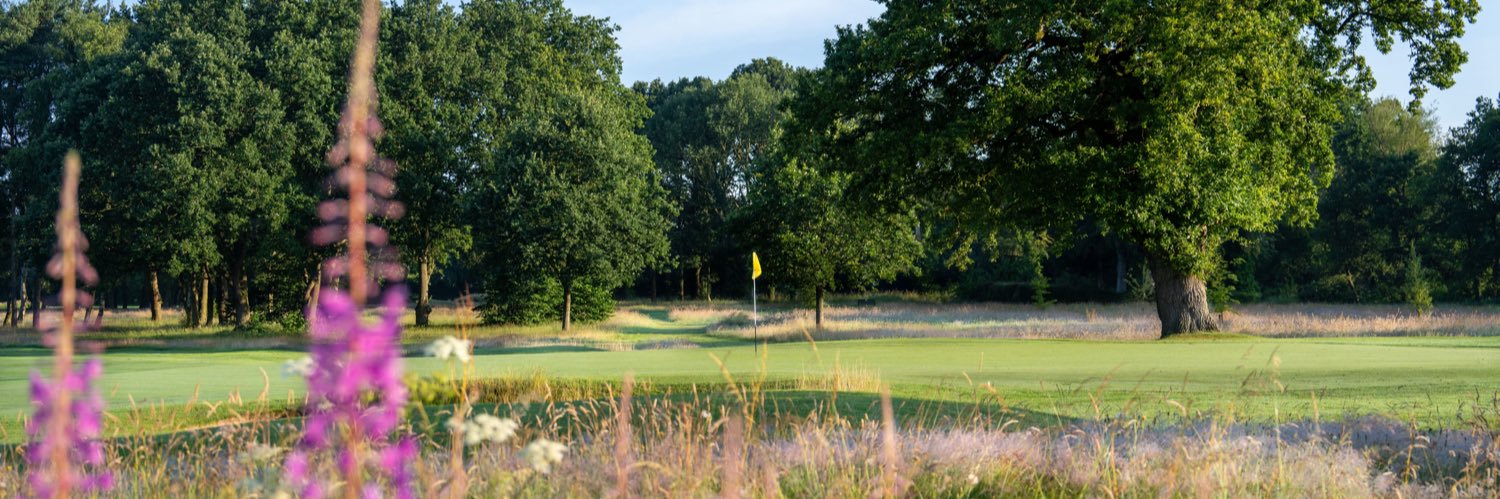 TheWilmslowGC's profile banner image